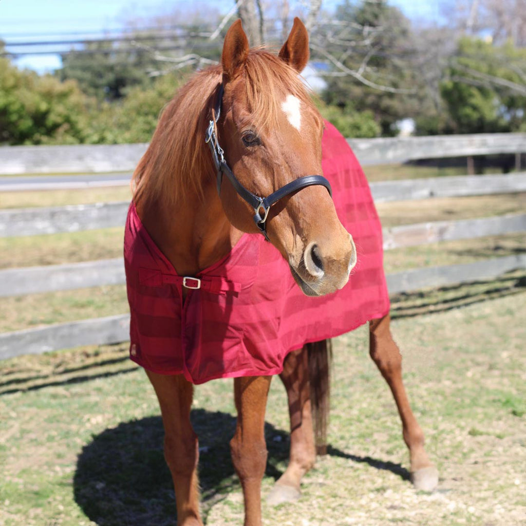 TuffRider Lightweight Mesh Scrim Sheet with Fly Protection with Single Surcingle