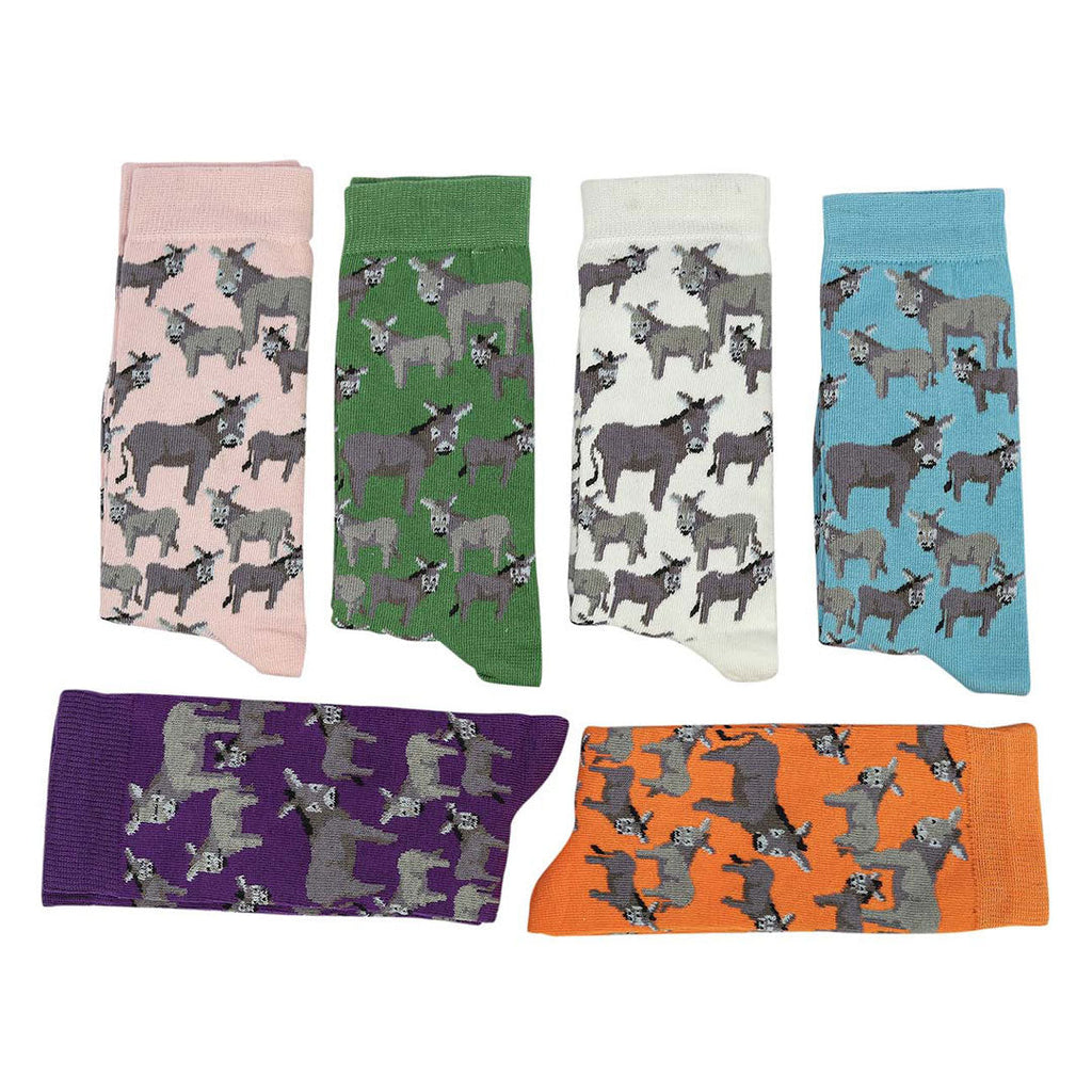 AWST Int'l Donkey Love Socks 6 pack