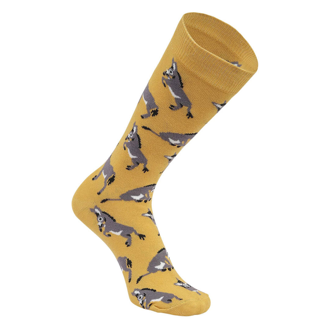 AWST Int'l Playful Donkeys Socks 6 pack