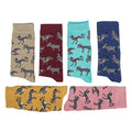 AWST Int'l Playful Donkeys Socks 6 pack