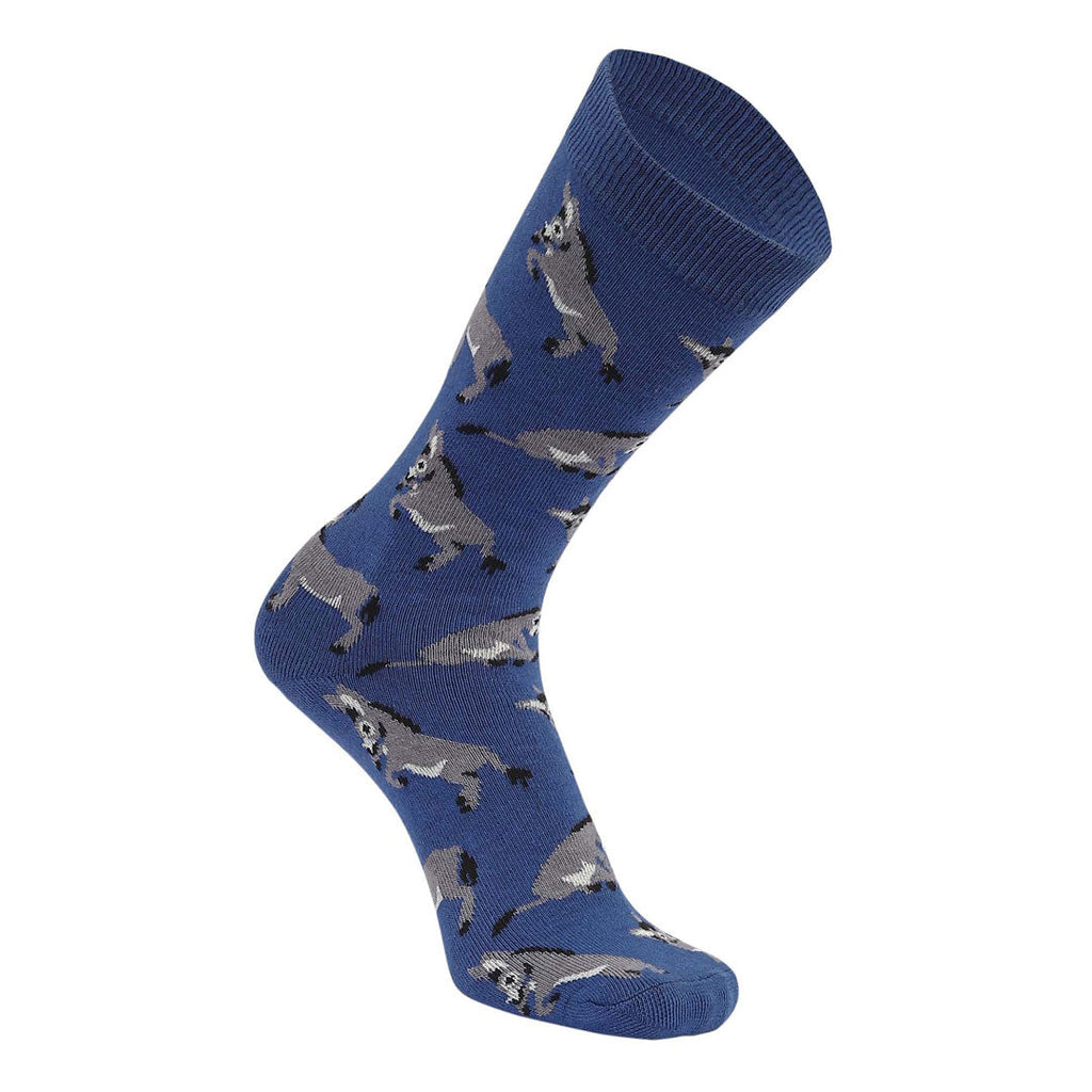 AWST Int'l Playful Donkeys Socks 6 pack