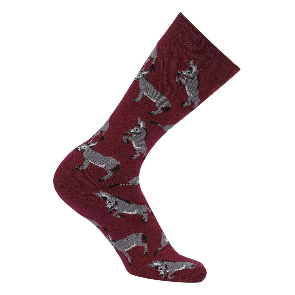 AWST Int'l Playful Donkeys Socks 6 pack