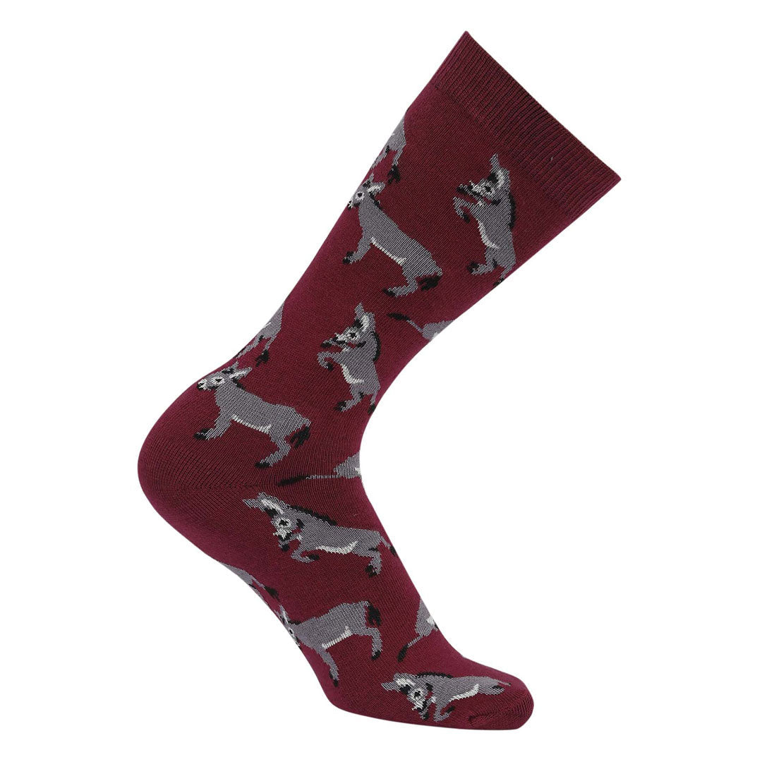 AWST Int'l Playful Donkeys Socks 6 pack