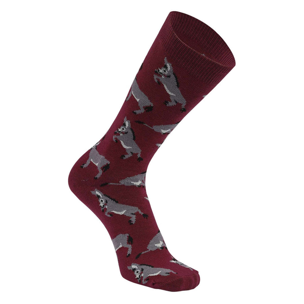 AWST Int'l Playful Donkeys Socks 6 pack