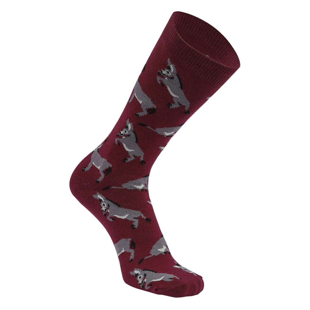 AWST Int'l Playful Donkeys Socks 6 pack