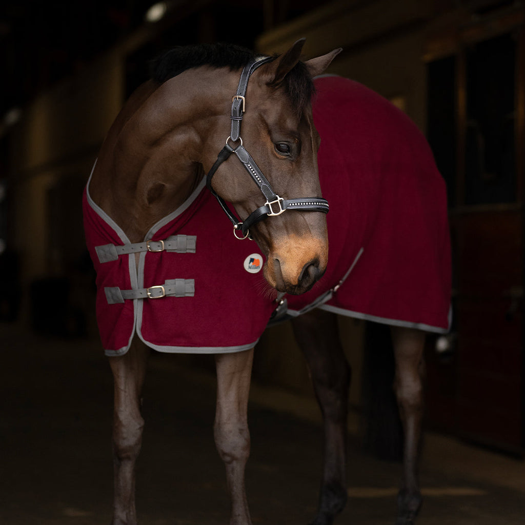 Miller's Standard Neck Fleece Cooler