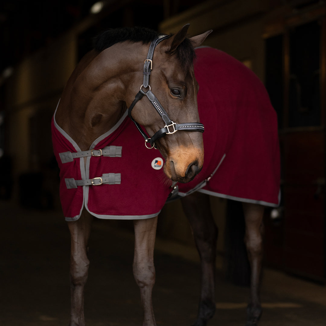 Miller's Standard Neck Fleece Cooler