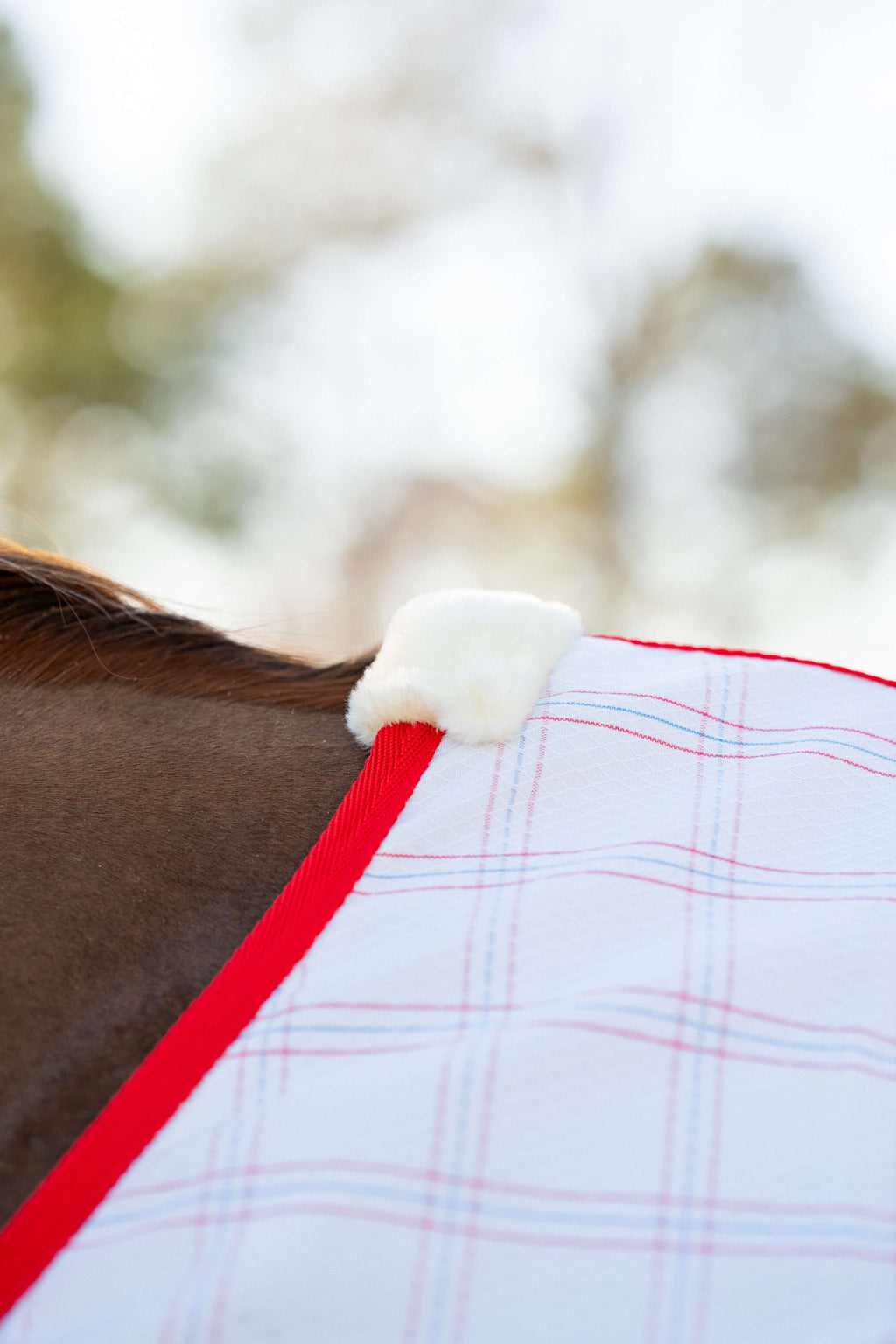 Miller's Aussie Ripstop Stable Sheet